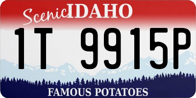 ID license plate 1T9915P