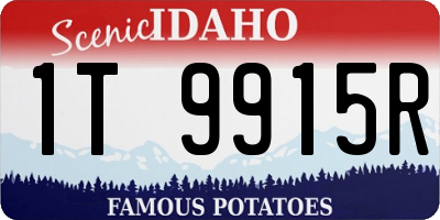 ID license plate 1T9915R