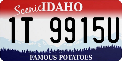 ID license plate 1T9915U