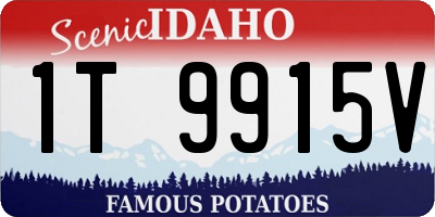 ID license plate 1T9915V