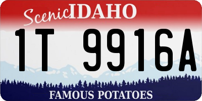 ID license plate 1T9916A