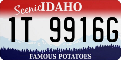 ID license plate 1T9916G