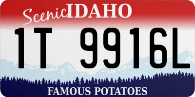 ID license plate 1T9916L