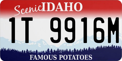 ID license plate 1T9916M