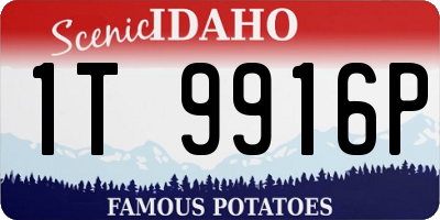 ID license plate 1T9916P