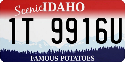 ID license plate 1T9916U