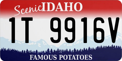 ID license plate 1T9916V