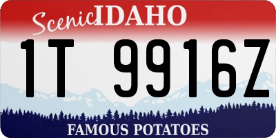 ID license plate 1T9916Z