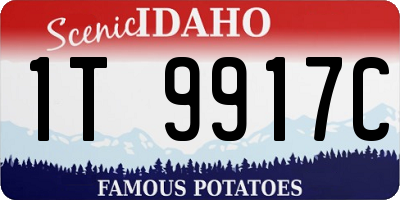 ID license plate 1T9917C
