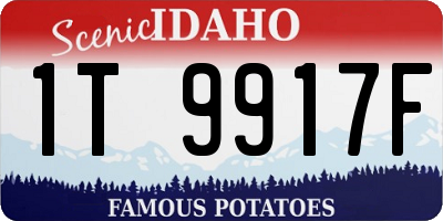 ID license plate 1T9917F