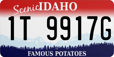 ID license plate 1T9917G