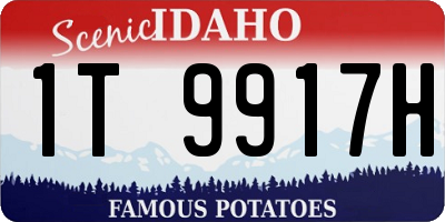 ID license plate 1T9917H