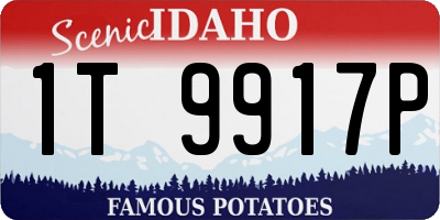 ID license plate 1T9917P