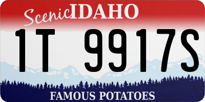 ID license plate 1T9917S