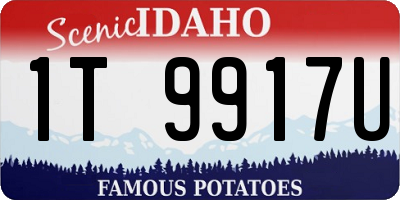 ID license plate 1T9917U