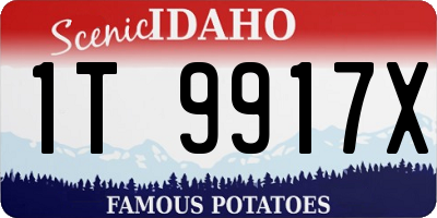 ID license plate 1T9917X