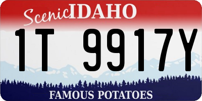 ID license plate 1T9917Y