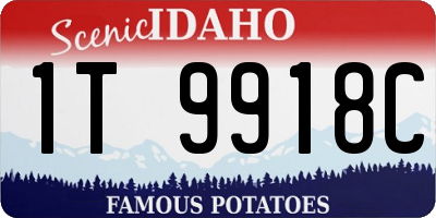 ID license plate 1T9918C