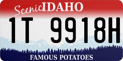 ID license plate 1T9918H