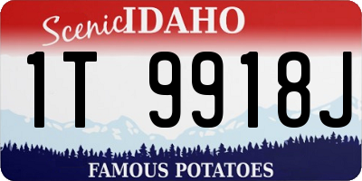 ID license plate 1T9918J