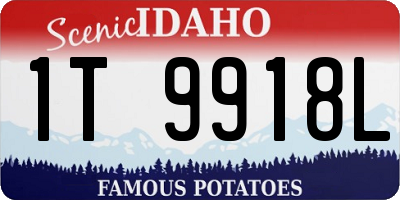 ID license plate 1T9918L