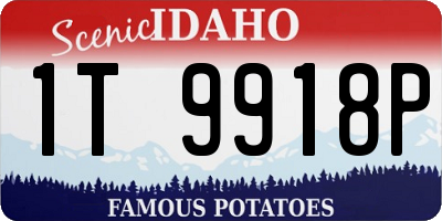 ID license plate 1T9918P