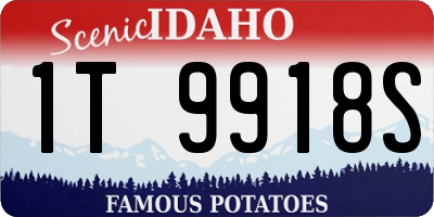 ID license plate 1T9918S