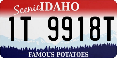 ID license plate 1T9918T