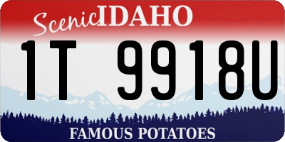ID license plate 1T9918U