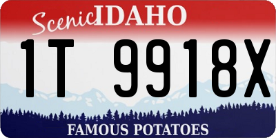 ID license plate 1T9918X