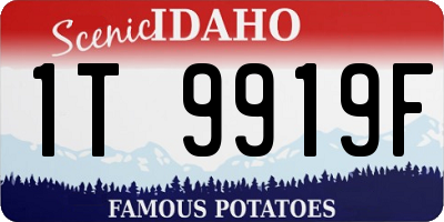 ID license plate 1T9919F