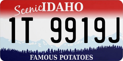 ID license plate 1T9919J