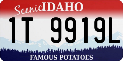 ID license plate 1T9919L