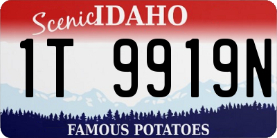 ID license plate 1T9919N