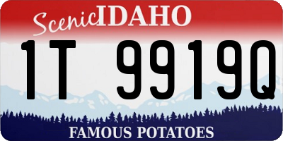 ID license plate 1T9919Q