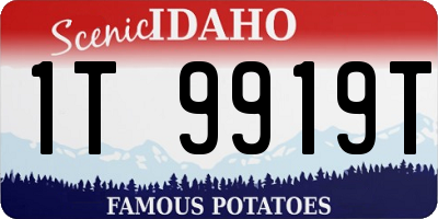 ID license plate 1T9919T