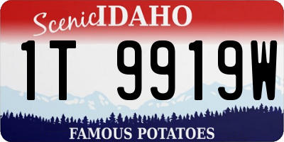 ID license plate 1T9919W