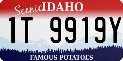 ID license plate 1T9919Y
