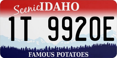 ID license plate 1T9920E