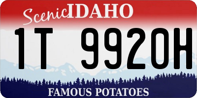 ID license plate 1T9920H