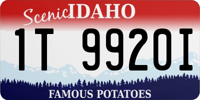ID license plate 1T9920I