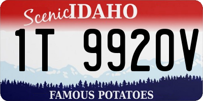 ID license plate 1T9920V