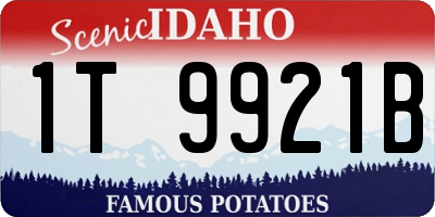 ID license plate 1T9921B