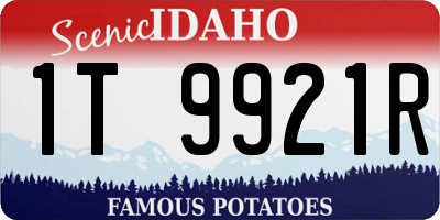 ID license plate 1T9921R