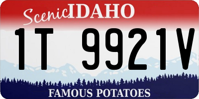 ID license plate 1T9921V