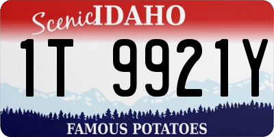 ID license plate 1T9921Y
