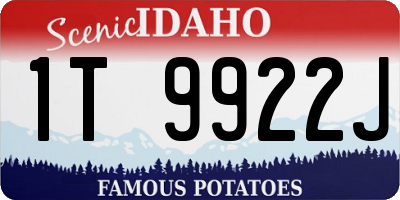 ID license plate 1T9922J