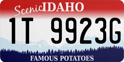 ID license plate 1T9923G