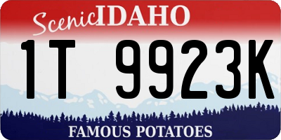 ID license plate 1T9923K
