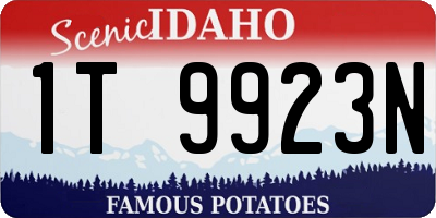 ID license plate 1T9923N